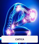 PERFECTX® TERAPIA ARTICULAR Y MUSCULAR - [PROMOCIÓN] PAGA 1 LLEVA 3 UNIDADES